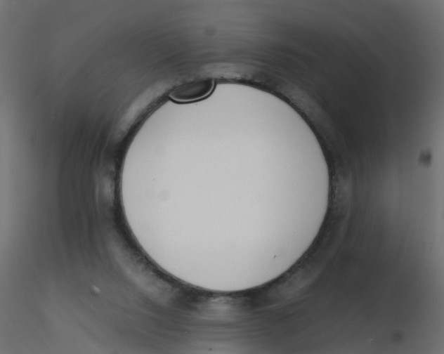 X0000116600064200912312105