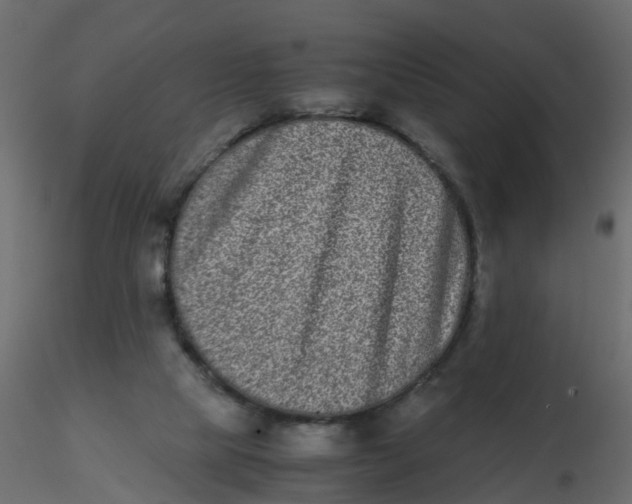 X0000116600065200912312105