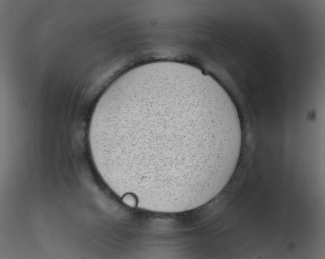 X0000116600066200912312105
