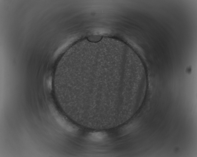 X0000116600067200912312105