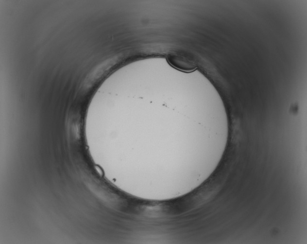 X0000116600068200912312105