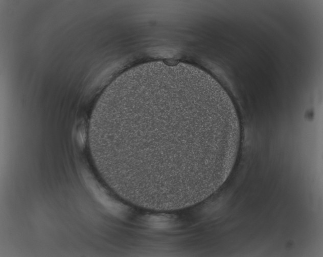X0000116600069200912312106