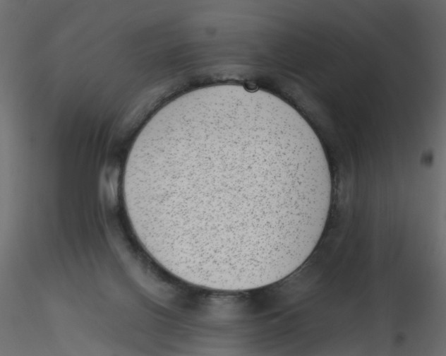 X0000116600070200912312106