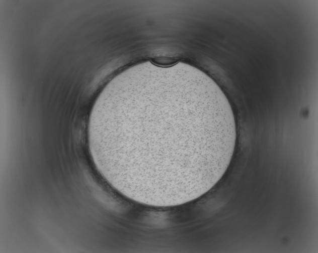 X0000116600071200912312106