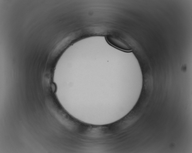 X0000116600072200912312106