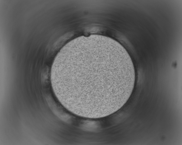 X0000116600073200912312106