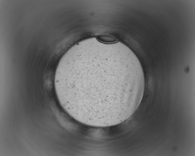X0000116600074200912312106