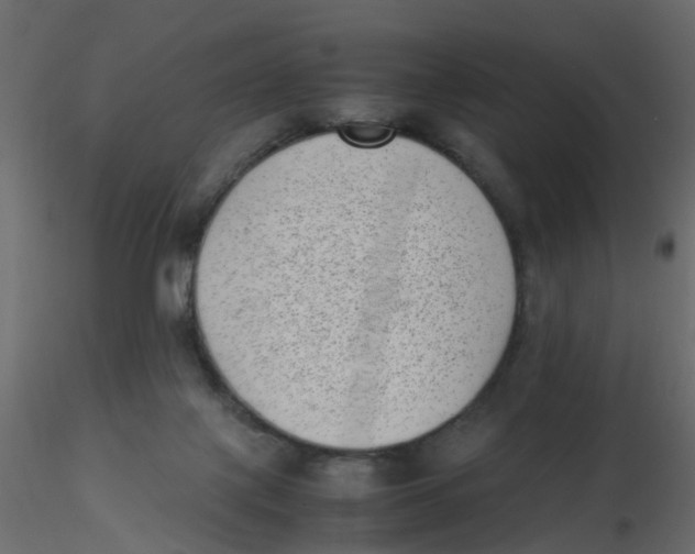 X0000116600075200912312106