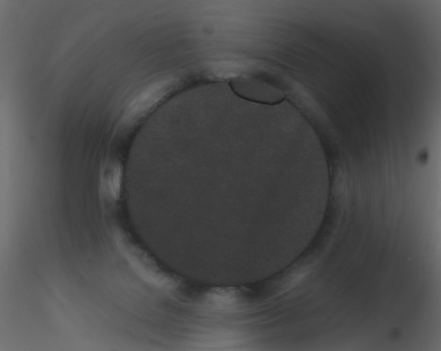 X0000116600076200912312106