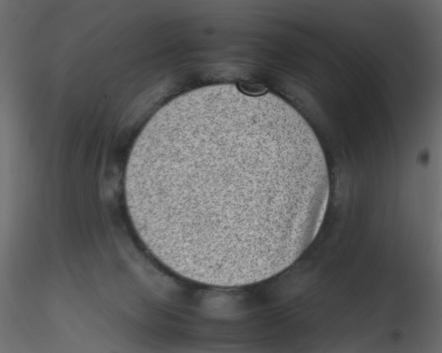 X0000116600077200912312106