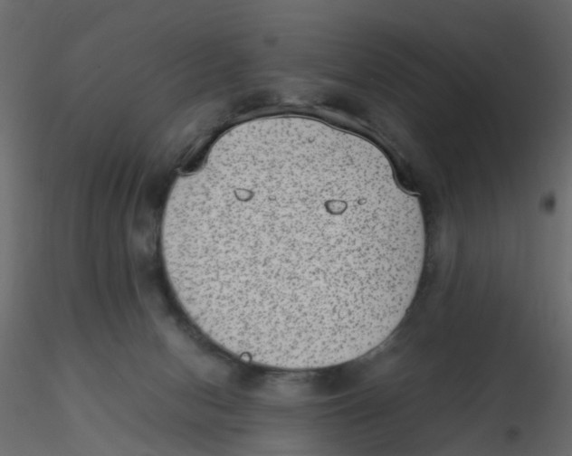 X0000116600078200912312106