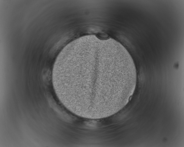 X0000116600079200912312106