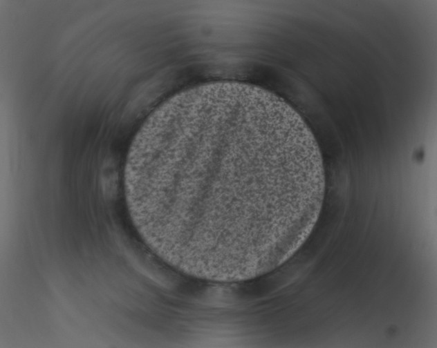 X0000116600080200912312106