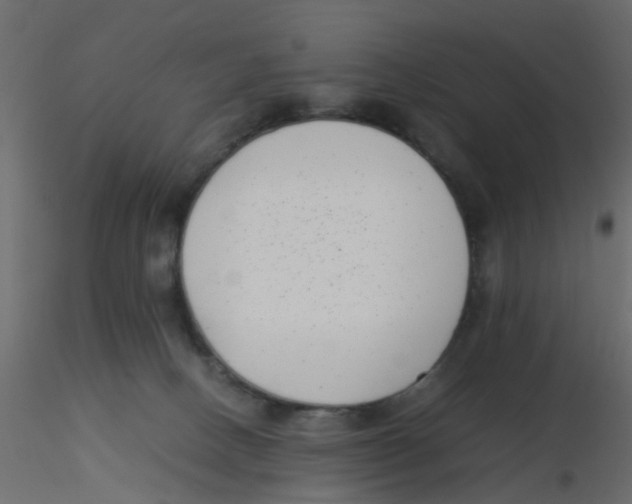 X0000116600082200912312106