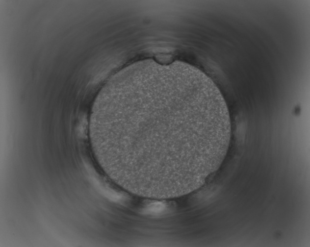 X0000116600083200912312106