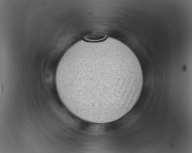 X0000116600084200912312106