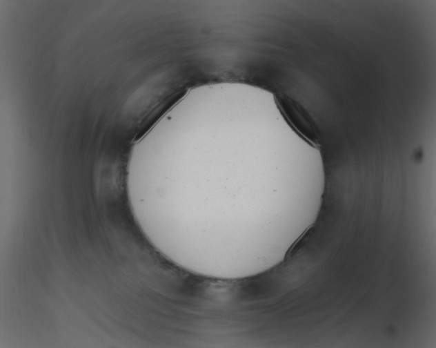 X0000116600088200912312106