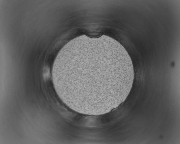 X0000116600089200912312106