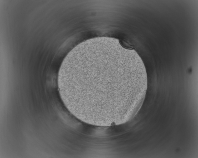 X0000116600090200912312106