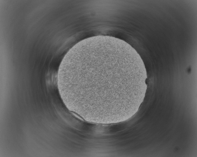 X0000116600094200912312106