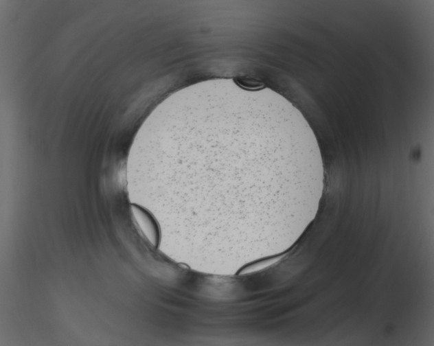 X0000116600095200912312106