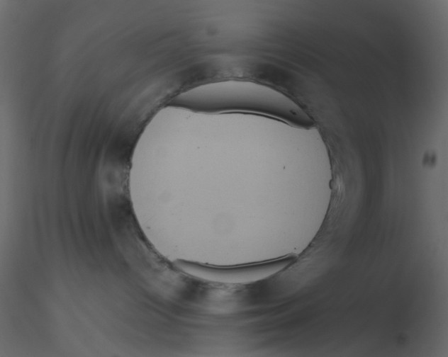 X0000116600096200912312106