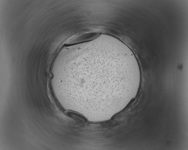 X0000116600097200912312105