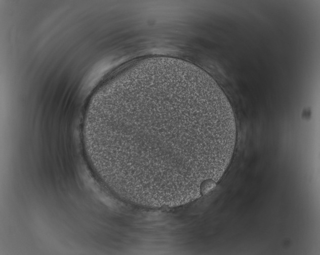 X0000116600098200912312105