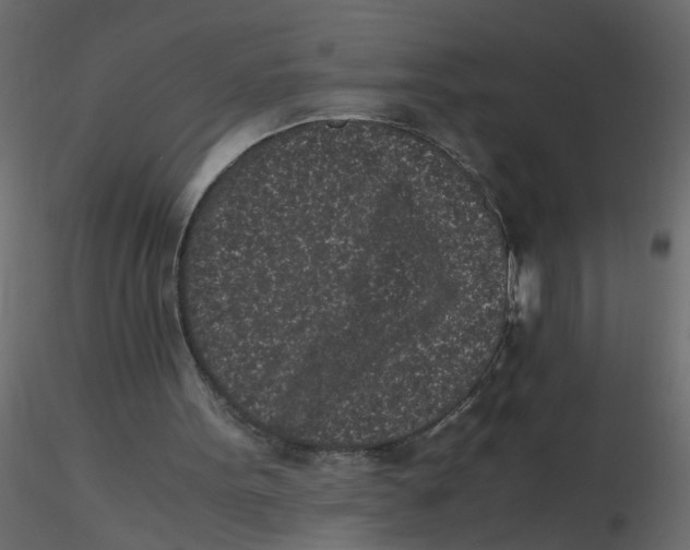X0000116600099200912312105
