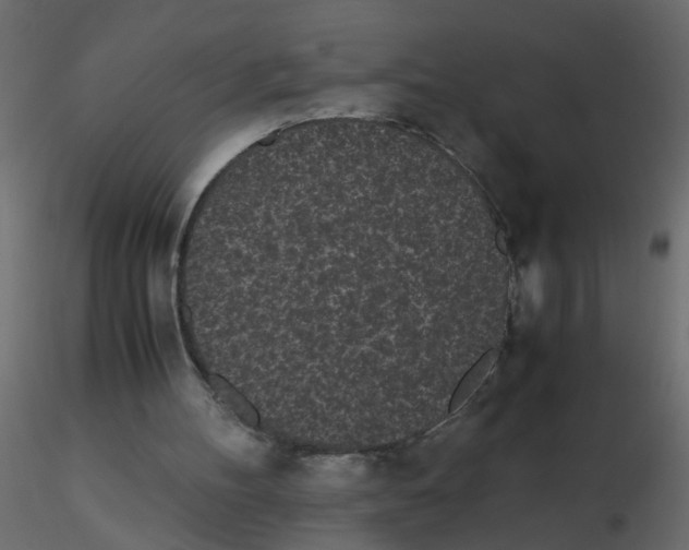 X0000116600100200912312105