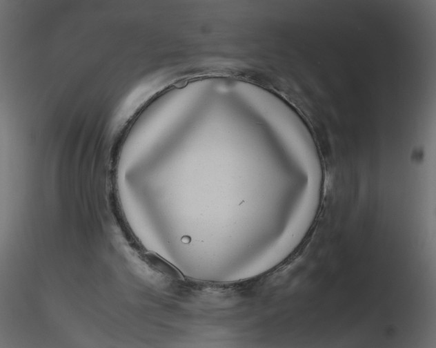 X0000116600101200912312105