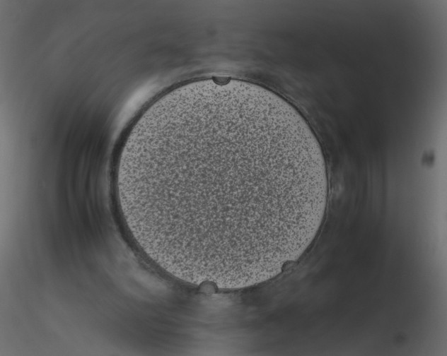 X0000116600102200912312105