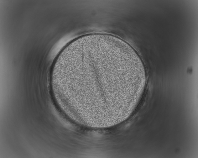 X0000116600103200912312105