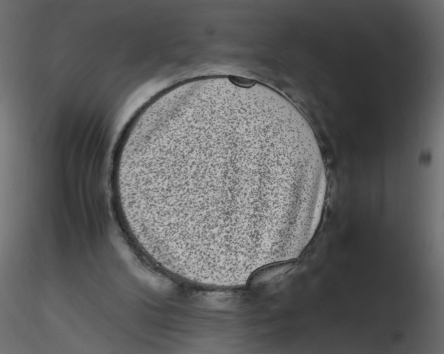 X0000116600104200912312105