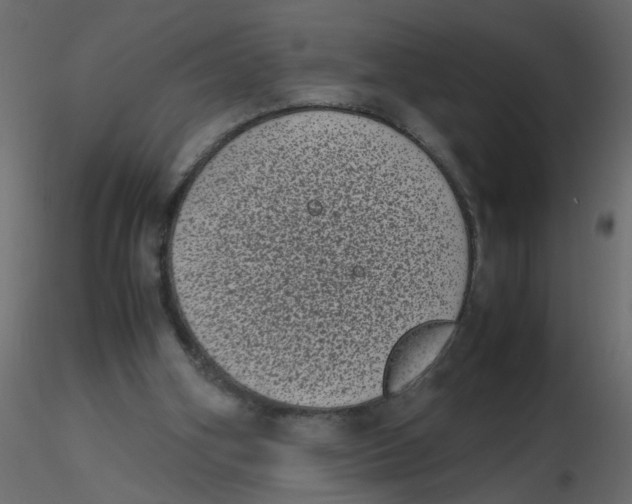 X0000116600106200912312105