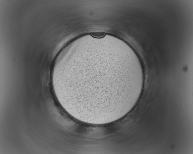 X0000116600107200912312105