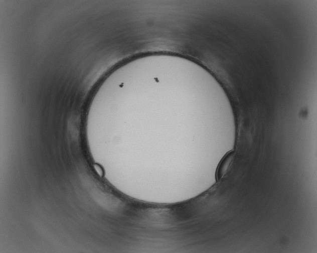 X0000116600108200912312105