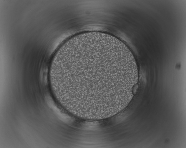 X0000116600110200912312105