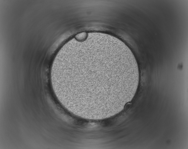 X0000116600111200912312105