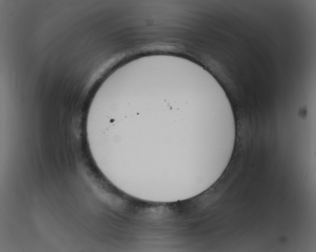 X0000116600112200912312105