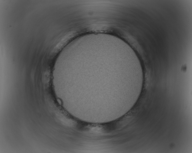 X0000116600113200912312105