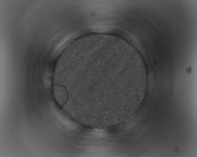 X0000116600114200912312105