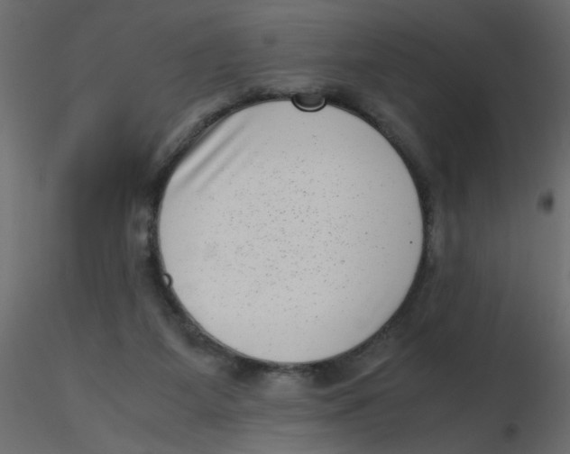 X0000116600115200912312105