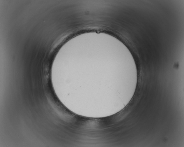 X0000116600116200912312105