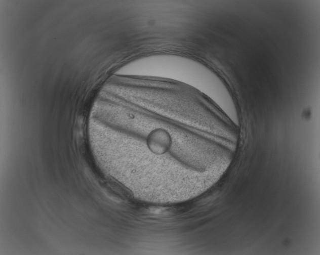 X0000116600117200912312105