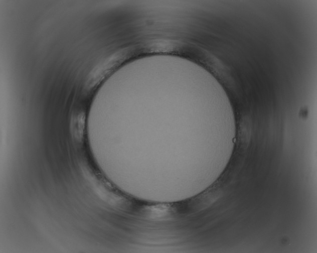 X0000116600118200912312105