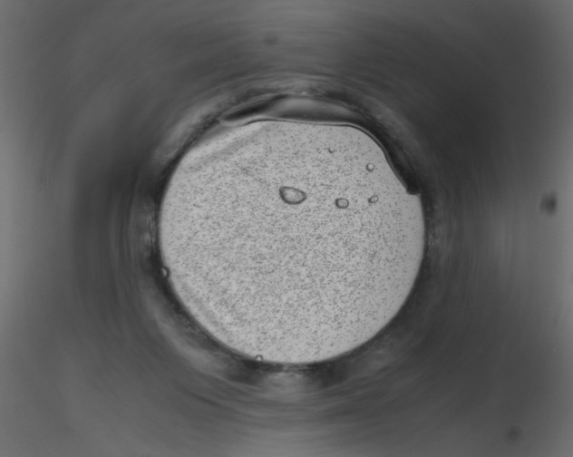 X0000116600119200912312105