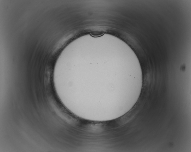 X0000116600120200912312105