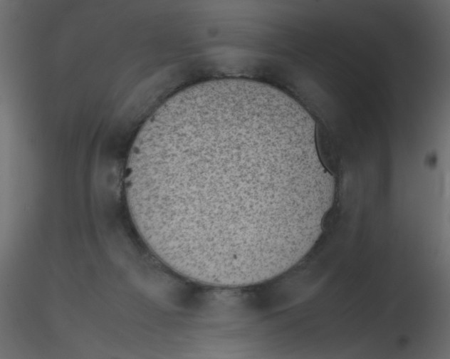 X0000116600121200912312105