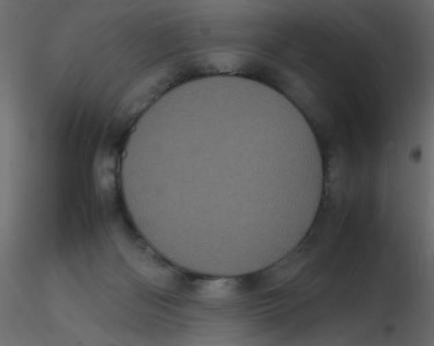 X0000116600122200912312105